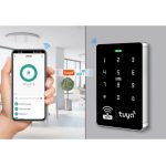 دستگاه اکسس کنترل هوشمند TUYA با قابلیت کنترل از طریق WIFI و تگ 13.56MHZ/125KHz مدل S10