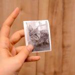 پرینتر حرارتی بلوتوثی مینی مدل Mini Printer